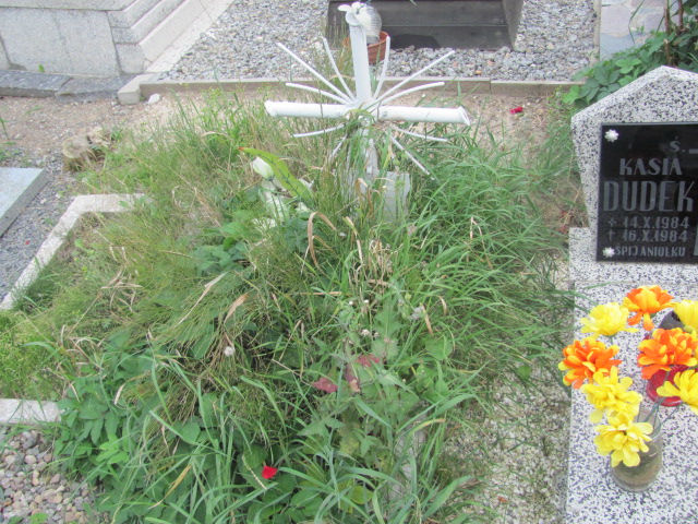  NN Dzierżoniów - Grobonet - Wyszukiwarka osób pochowanych