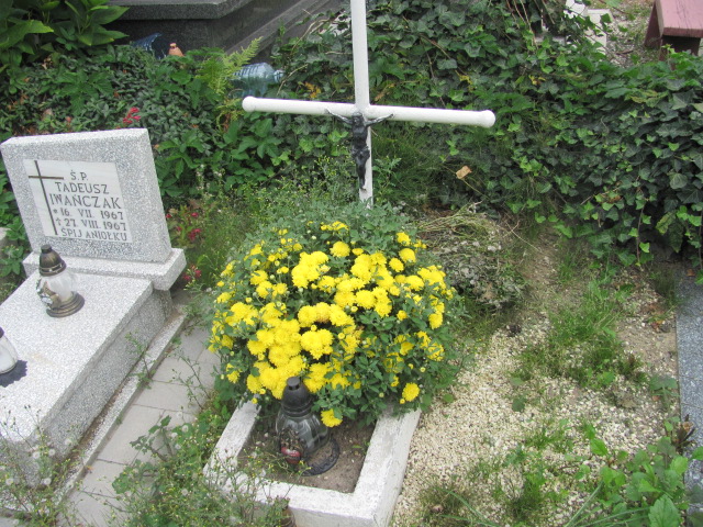  NN Dzierżoniów - Grobonet - Wyszukiwarka osób pochowanych