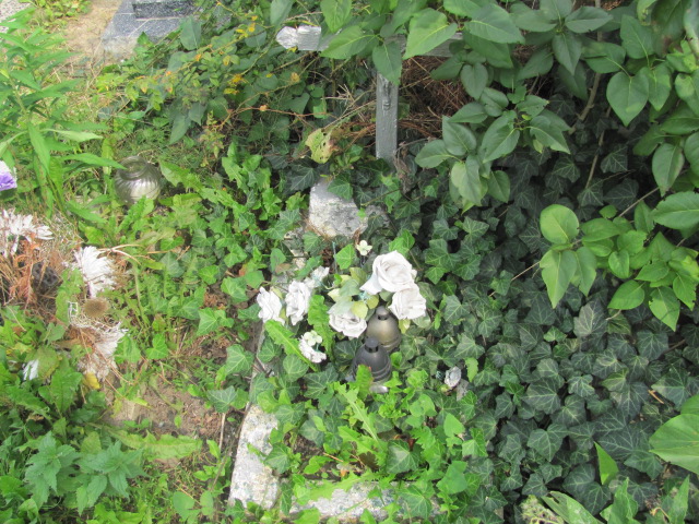  NN Dzierżoniów - Grobonet - Wyszukiwarka osób pochowanych