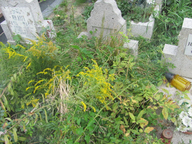  NN Dzierżoniów - Grobonet - Wyszukiwarka osób pochowanych