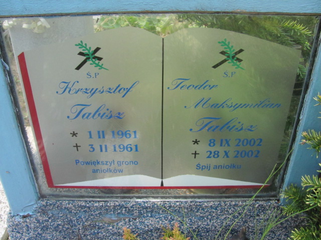 Teodor Maksymilian Tabisz 2002 Dzierżoniów - Grobonet - Wyszukiwarka osób pochowanych