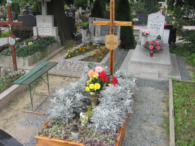 Grób Marian Siedlecki