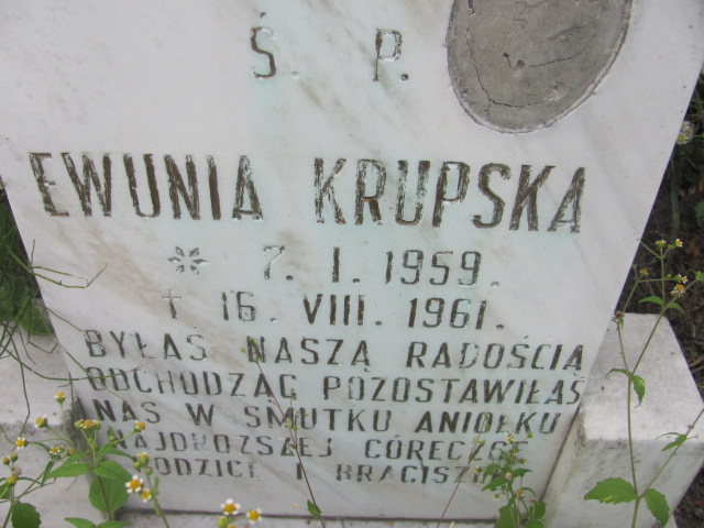 Ewa Krupska 1959 Dzierżoniów - Grobonet - Wyszukiwarka osób pochowanych
