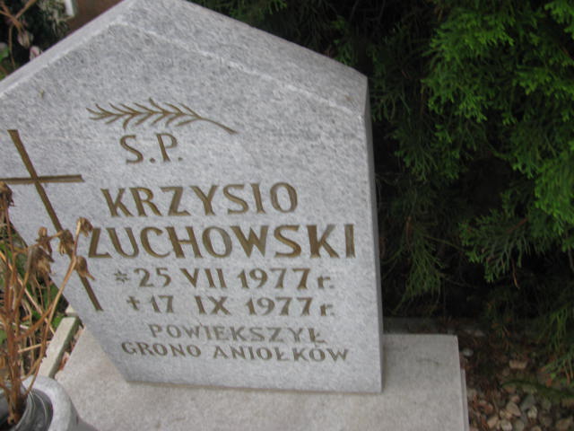 Krzysztof Żuchowski 1977 Dzierżoniów parafialny - Grobonet - Wyszukiwarka osób pochowanych