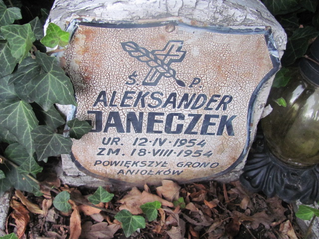 Aleksander Janeczek 1954 Dzierżoniów - Grobonet - Wyszukiwarka osób pochowanych