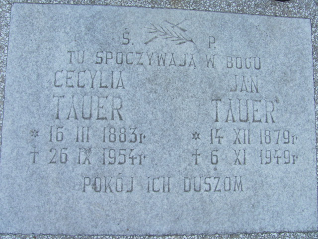 Tadeusz Tauer 1919 Dzierżoniów parafialny - Grobonet - Wyszukiwarka osób pochowanych