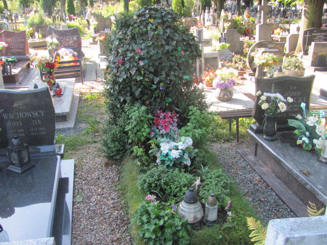  NN Dzierżoniów - Grobonet - Wyszukiwarka osób pochowanych