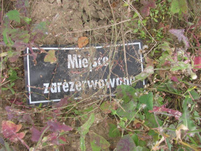  Rezerwacja Dzierżoniów - Grobonet - Wyszukiwarka osób pochowanych