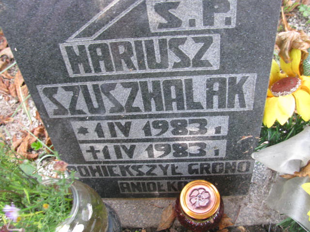 Mariusz Szuszwalak 1983 Dzierżoniów - Grobonet - Wyszukiwarka osób pochowanych