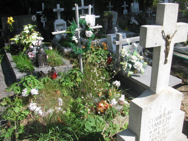  NN Dzierżoniów - Grobonet - Wyszukiwarka osób pochowanych