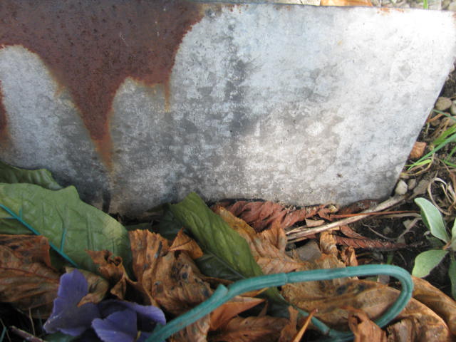  NN Dzierżoniów - Grobonet - Wyszukiwarka osób pochowanych